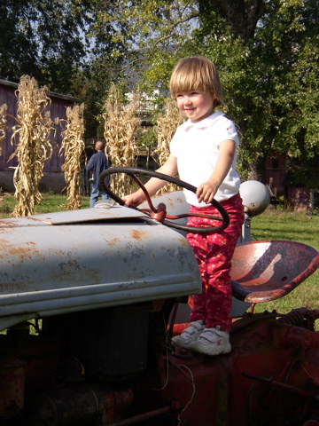 PA120938.JPG