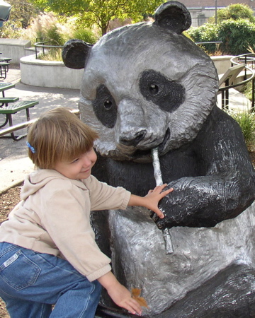 PA210954.JPG