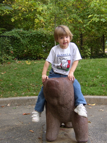 PA210961.JPG