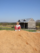 PA120913.JPG
