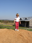 PA120914.JPG
