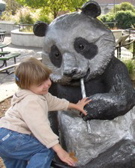 PA210954.JPG